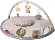 Taf Toys Tummy Time Activity Gym