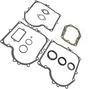 MAX COOL Gasket Set 490525 494241 Suitable for Briggs & Stratton 28 Series Motors 28C700