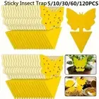 5-120X Fruit Fly Sticky Trap for Indoor Outdoor Gnat Killer Flying Insect AU