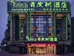 青皮樹徐州高鐵站酒店Vatica Xuzhou High Speed Railway Station Hotel