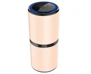 Portable Super Oxygen Deodorizing Air Purifier In Addition To Formaldehyde Smell Odor Smoke Car Car Air Purifier-Gold