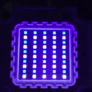 美甲DIY燈珠水草珊瑚30W特殊色溫15000K白光LED集成特殊波長365-390-410-420nm紫光UV可以訂製
