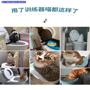 【呱呱樂】 新款貓咪廁所訓練器 貓如廁訓練器 貓馬桶墊可放貓砂 貓咪坐墊訓練器 坐便器 貓廁所 馬桶圈訓練器代替貓砂盆