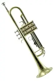 *GREAT GIFT* TOP Quality Bb Gold Plated Trumpet w Hard Case Care Kit CLEARANCE