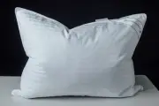 Goose Feather Blend with Polyester Bed Pillows 100% Cotton, Medium Soft Soft ...
