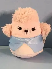 Squishmallows Squishville Blind Mystery Capsule Chloe Pink Poodle 2" + Accessory