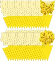 12 Pack Sticky Fruit Fly Fungus Gnat Traps Killer for Indoor and Outdoor Protect