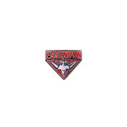 Essendon Bombers AFL Logo Pin