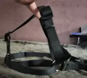 Small Dog Harness New. No Tags