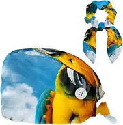 [YTYVAGT] Scrub Caps Women,Scrub Hats Suitable for Women,Blue Prairie Bird Parrots
