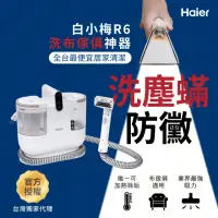 在飛比找momo購物網優惠-【Haier 海爾】防黴織物清潔機R6(布類傢俱防黴/兩段溫