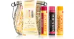 Burt’s Bees Balm Jar Gift Set (for Lips)