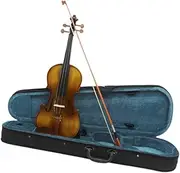 Hellery 4/4 Violin Set Wooden Stringed Musical Instruments Violin for Kids Adults for Exercise