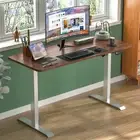 Standing Desk Sit Stand Motorised Electric Height Adjustable Table Silver+Walnut