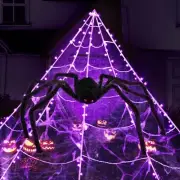 Large 79" Spider 280 LED String Light Outdoor timer Halloween Party decoration