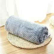 Soft Pet Blanket Plush Dog Sleeping Blanket Solid Color Washable Sofa Pad Portable Warm Cat Bed Blanket Home Carpet Pet Supplies(Blue,M 80X60CM)