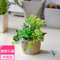 在飛比找PChome24h購物優惠-【Meric Garden】高仿真多肉植物療癒手工水泥小盆栽