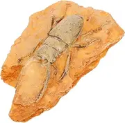 NAMOARLY Paleontological Insect Specimen for Science Teaching Insect Ornament Decoration