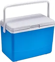 3L Insulated Portable Cooler with Handle Camping Car Refrigerator Heat Preservation Barbecue Insulation Box for Beach Picnic