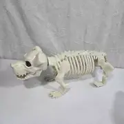Halloween Decoration Prop Skeleton Dog Puppy with Posable Jaw And Tail New