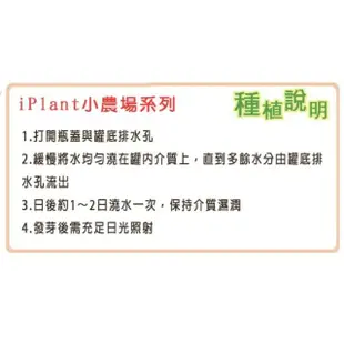 【蔬菜之家】iPlant易開罐花卉-松葉牡丹(最新發明專利設計)