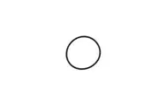 Paramount Opal Barrel Union O-Ring