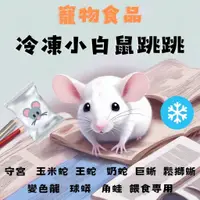 在飛比找蝦皮購物優惠-🔺限量優惠🔺❄️冷凍小白鼠跳跳❄️🐶野村寵物🐱守宮玉米蛇王蛇