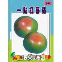 在飛比找蝦皮購物優惠-【萌田種子~中包裝】L01 日本一點紅蕃茄種子3公克 , 俗