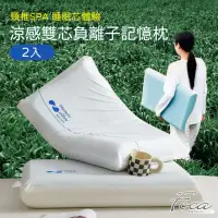 在飛比找momo購物網優惠-【FOCA】買1送1 涼感熟睡雙芯負離子記憶枕(頸椎SPA/