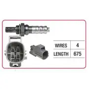 RAE Oxygen Sensor - OX743