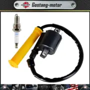Ignition Coil & Spark Plug W/Cap For Honda Rancher 420 2007-2013 30510-HP5-601