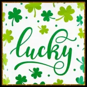 Poly Mailers 10x13 Lucky Shamrock St Patrick’s Day Irish Clover