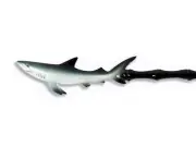 Hand Painted 18" Backscratcher Back Scratcher Gray Shark Fish 422B