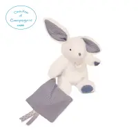 在飛比找蝦皮購物優惠-法國Doudou - 小藍灰兔小手巾布偶 20cm