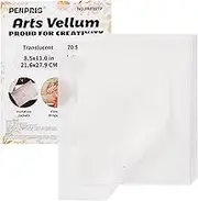 70 Sheets Transparent Vellum Paper - 8.5 x 11in 100GSM Translucent Matte Art Paper for DIY Printing Drawing Invitations Greeting Cards Decor Gift Wrapping PAP02TP