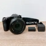 ( 索尼超強旅遊機 ) SONY CYBER-SHOT RX10 IV  大光圈 保固半年 林相攝影