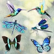 12 Pcs Screen Door Magnets Butterfly Hummingbird Dragonfly Double Sided Decorative Screen Magnets Stickers Flexible Magnetic Decals for Window Sliding Patio Door Protector(Fresh Style)