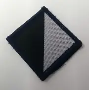 Genuine British Army Issue 2 Tone Light Dragoons Regimental TRF Patch NEW