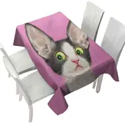 Big Ears Girly Kitty Cat over Pink Tablecloth