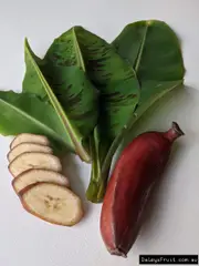 Buy Dwarf Red Dacca Banana Plants in Australia (Musa acuminata)