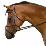 Marcel Toulouse Amelie Figure-8 Jumper/Eventing Bridle