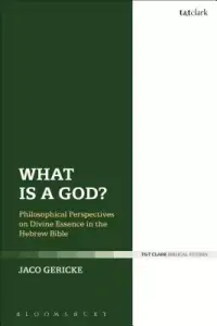 在飛比找博客來優惠-What Is a God?: Philosophical 