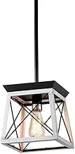 CJLWSLCO Single Head Iron Small Pendant Light Hotpot Restaurant Café Hanging Lamp for Country Farmhouse B&B Chandeliers Villa Clubhouse Decoration Ceiling Light Fixture Indoor Adjustable Height(C)