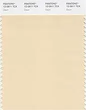 PANTONE Smart 12-0811X Color Swatch Card, Dawn