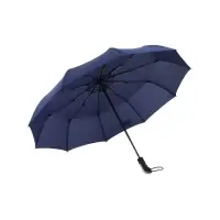 在飛比找momo購物網優惠-【SOG購物】十骨 自動摺疊傘 雨傘(加大傘面 自動傘 摺疊