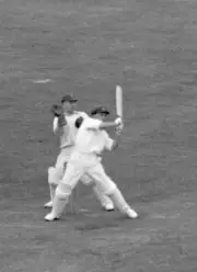 Donald Bradman Smack Peebles To Leg 1930 Old Cricket Photo