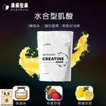 阿宇師調味肌酸 果果堅果可搭配 葡萄糖 乳清高蛋白 BCAA ON MYPROTIEN  OO  HPU