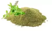 Tulsi Patta Powder Ocimum Sanctum Basil Leaves Powder Basil Leaf Powder