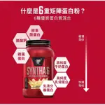 [美國BSN] SYNTHA 6 頂級綜合乳清蛋白 5磅 乳清 高蛋白 添加酪蛋白 健身 TWINBROTHERS