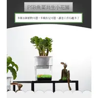 在飛比找蝦皮購物優惠-【螃蟹豬豬】魚菜共生 水草創意 超白桌面迷你魚缸 免換水生態